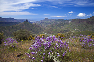 Gran Canaria - Blick auf die Berglandschaft und Schönheit der Natur